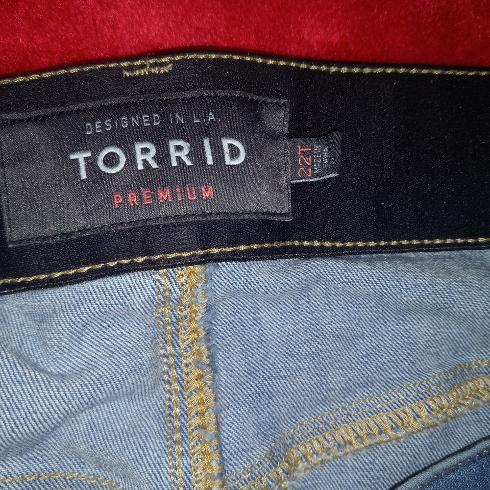 Distressed Bombshell Skinny - Picture 3 of 4